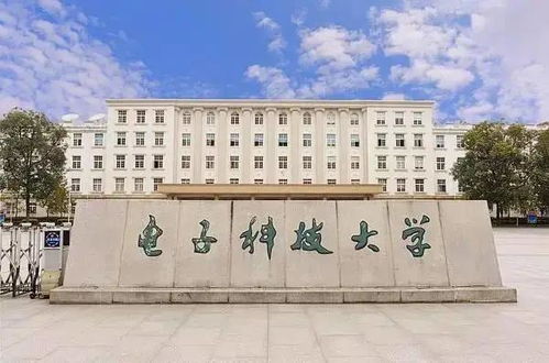 四川42所高校開學！計算機領域如何搶占技術開發新浪潮？